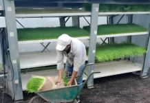 Argentina | Hidroponia forrajera en Chaco: una «fábrica de pasto» todo el año sin depender del clima