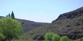 Argentina | Mejorar la fertilidad y productividad de los suelos con carbono