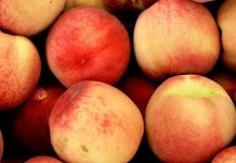 Argentina a un paso de exportar carozos a China: Avanzan las negociaciones fitosanitarias