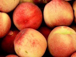 Argentina a un paso de exportar carozos a China: Avanzan las negociaciones fitosanitarias