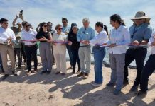 Arica se proyecta como referente en investigación agrícola en condiciones extremas