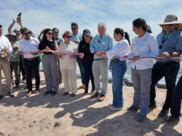 Arica se proyecta como referente en investigación agrícola en condiciones extremas