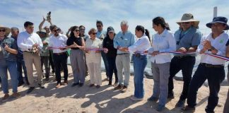 Arica se proyecta como referente en investigación agrícola en condiciones extremas