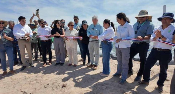 Arica se proyecta como referente en investigación agrícola en condiciones extremas