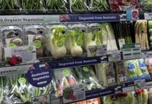 Australia | Ausveg y ATGA se unen a la Red Australiana de Diversificación Comercial multisectorial Australia Ausveg y ATGA se unen a la Red Australiana de Diversificación Comercial multisectorial