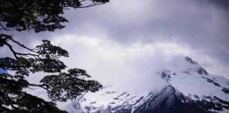 CONAF informa el cierre de áreas protegidas