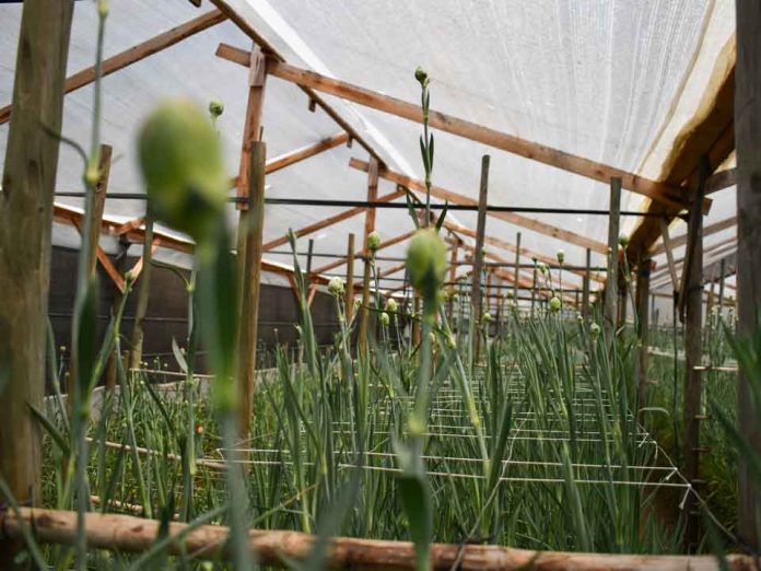 Centro Ceres impulsa la producción de bioinsumos junto a floricultores de Longotoma