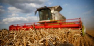 Chicago Compras generalizadas impulsan los futuros de cereales en EEUU desde mínimos de varias semanas