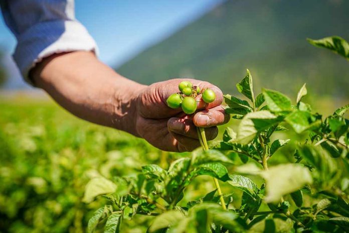 Chile, Colombia y España ejecutan proyecto de cooperación que fortalece el acceso a tierras de juventudes rurales