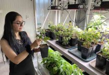 Científica del CEAF busca descifrar los “mensajes moleculares” que permiten a los frutales resistir la sequía