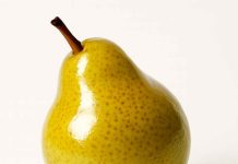 Científicos UCM crean protector comestible para fruta de exportación que retrasa su descomposición y posee propiedades anticancerígenas Científicos UCM crean protector comestible para fruta de exportación que retrasa su descomposición y posee propiedades anticancerígenas