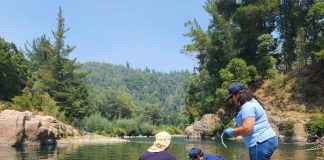 Científicos rescatan microorganismos nativos antes de la inundación del Embalse Zapallar en Ñuble