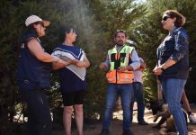 Comenzó aplicación de ficha para catastro de afectación silvoagropecuaria ante incendios forestales en Biobío