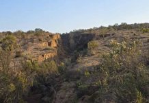 Cómo el avance de la erosión de los suelos pone en riesgo la seguridad alimentaria Cómo el avance de la erosión de los suelos pone en riesgo la seguridad alimentaria