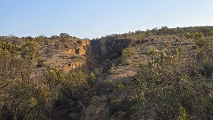 Cómo el avance de la erosión de los suelos pone en riesgo la seguridad alimentaria