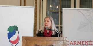 Concurso Carmenère al Mundo 2026 cuenta con patrocinio de la OIV