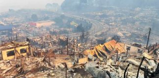 Gobierno confirma 16 muertos por incendios forestales en el Bío Bío y Ñuble