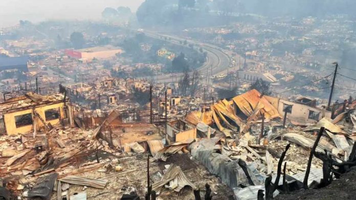 Gobierno confirma 16 muertos por incendios forestales en el Bío Bío y Ñuble