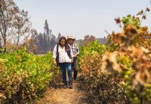 Conoce quiénes puede acceder a las ayudas tempranas que INDAP entrega a los afectados de los incendios
