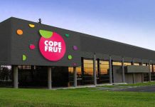 Copefrut y su estrategia para seguir creciendo dentro de los próximos 70 años