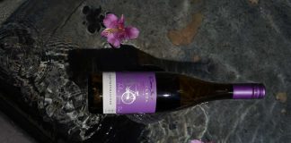 Cuando sube la temperatura, cambian las copas: los vinos que marcan tendencia este verano