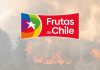 Declaración Frutas de Chile por incendios forestales