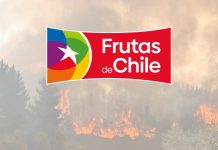 Declaración Frutas de Chile por incendios forestales