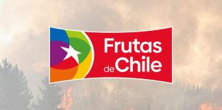 Declaración Frutas de Chile por incendios forestales