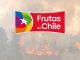 Declaración Frutas de Chile por incendios forestales