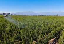 Del cielo a la tierra la “agricultura global” se construye desde el subsuelo hasta el espacio exterior