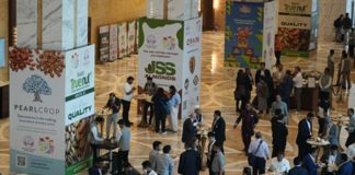 Delegación chilena de la ciruela se prepara para gira a ferias MEWA India y Gulfood Dubai