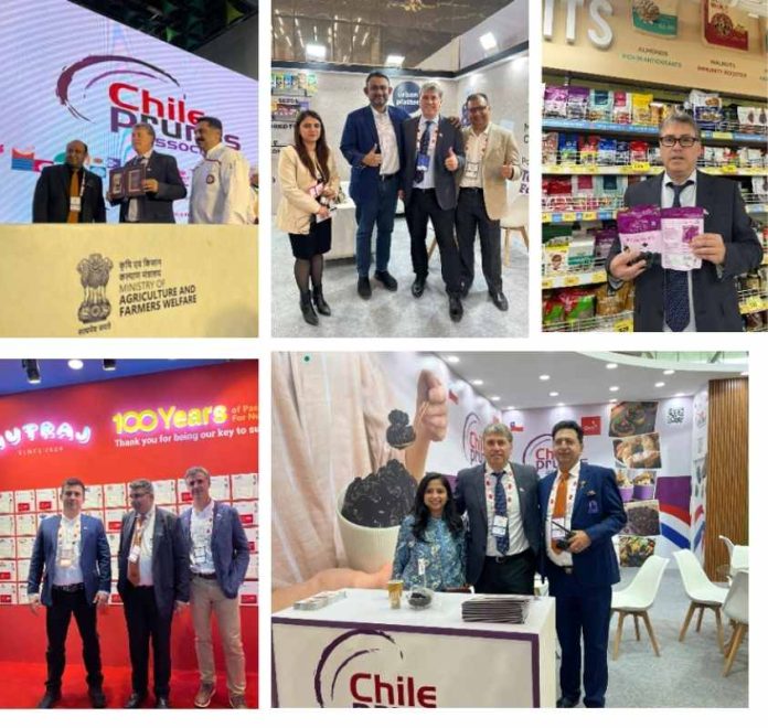 Desde la India: agenda de Chileprunes y balances de la campaña en ese país