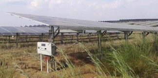 El desierto de Kubuqi florece gracias a una planta solar del tamaño de la ciudad de Barcelona