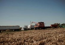 El rol clave de la maquinaria agrícola en la prevención y combate de incendios forestales en Chile