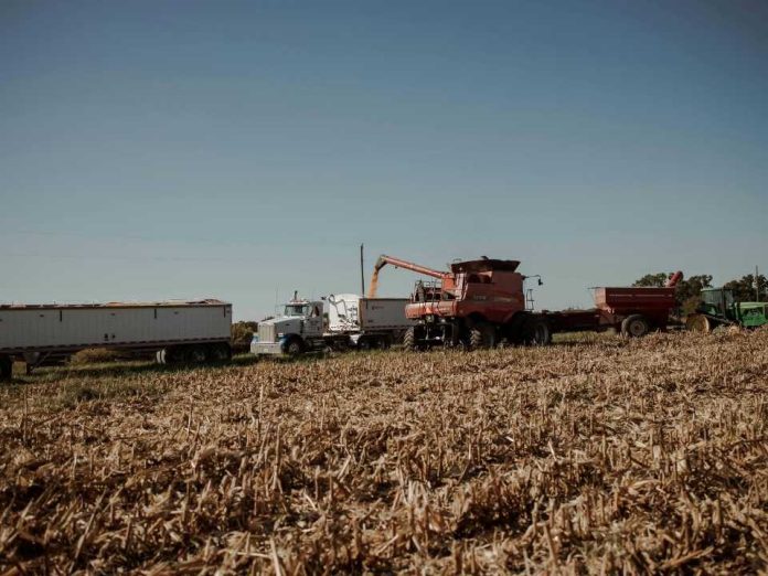 El rol clave de la maquinaria agrícola en la prevención y combate de incendios forestales en Chile