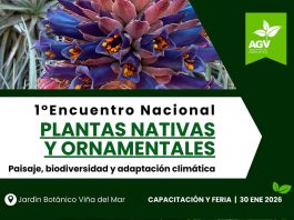 1° Encuentro Nacional de Plantas Nativas y Ornamentales: Oportunidad de Negocio y Posicionamiento para las  marcas líderes del sector
