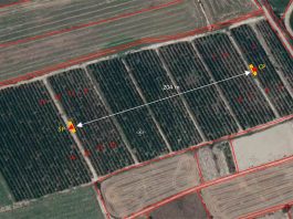 Ensayo de polinización con polen puro en plantación de cerezo en Albalate de Cinca (Aragón, España) | Zimex - EuroPollen