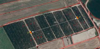 Ensayo de polinización con polen puro en plantación de cerezo en Albalate de Cinca (Aragón, España) | Zimex - EuroPollen