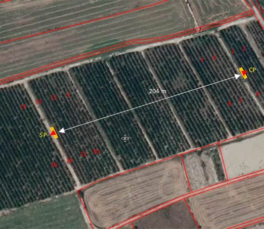 Ensayo de polinización con polen puro en plantación de cerezo en Albalate de Cinca (Aragón, España) | Zimex - EuroPollen