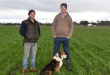 Ensayos en fincas para una huella de carbono baja