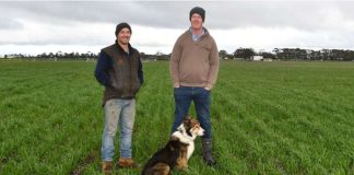 Ensayos en fincas para una huella de carbono baja