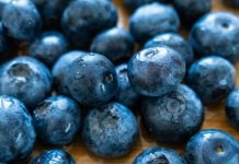 España Andalucía lidera la producción europea de arándanos