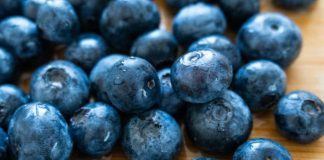 España Andalucía lidera la producción europea de arándanos