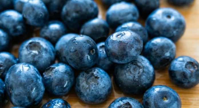 España Andalucía lidera la producción europea de arándanos