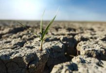 España | Qué es la bancarrota hídrica mundial y por qué la ONU alerta de pérdidas irreversibles de agua dulce España | Qué es la bancarrota hídrica mundial y por qué la ONU alerta de pérdidas irreversibles de agua dulce