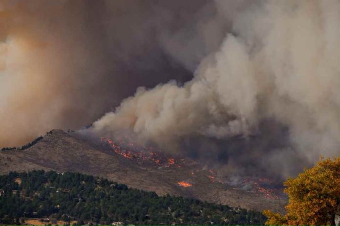 Estado de Catástrofe para regiones del Biobío y Ñuble por incendios forestales