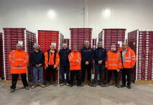 Exportación de cerezas: las claves para reforzar los movimientos de cargas refrigeradas Exportación de cerezas