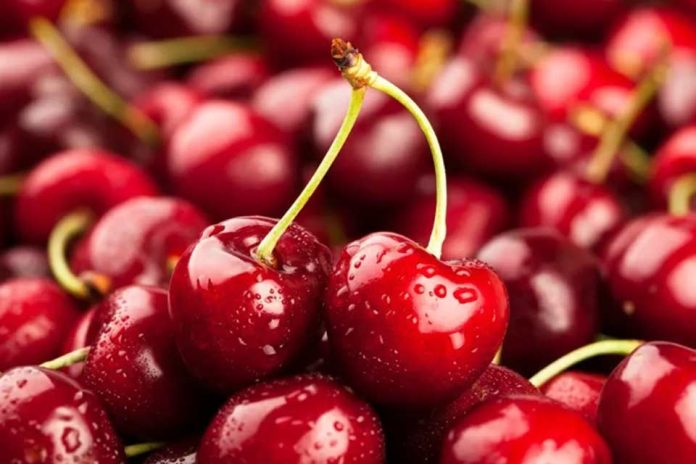 Exportaciones de cerezas en picada las tormentas arrasaron con las cifras de 2025