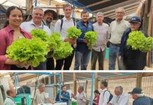 FIA impulsa sistema circular de acuaponía de hortalizas hidropónicas y truchas con IA en Limache FIA impulsa sistema circular de acuaponía de hortalizas hidropónicas y truchas con IA en Limache