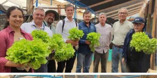 FIA impulsa sistema circular de acuaponía de hortalizas hidropónicas y truchas con IA en Limache